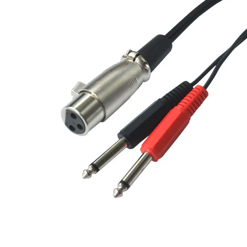 Мать оказывается двойной большой два основных XLR карты 6 35/6 5 одна минута аудио