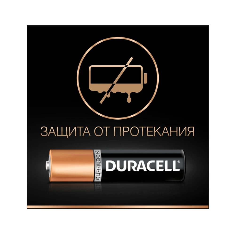 Батарея Duracell Basic LR03 12BL AAA (12шт)|Цифровые аккумуляторы| |