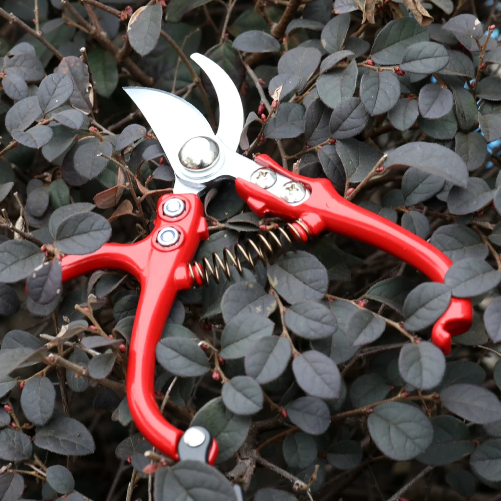 

Scissors Gardening Stainless Steel Branch Pruner Cutter Sharp Bypass Pruning Shears Hand Tools