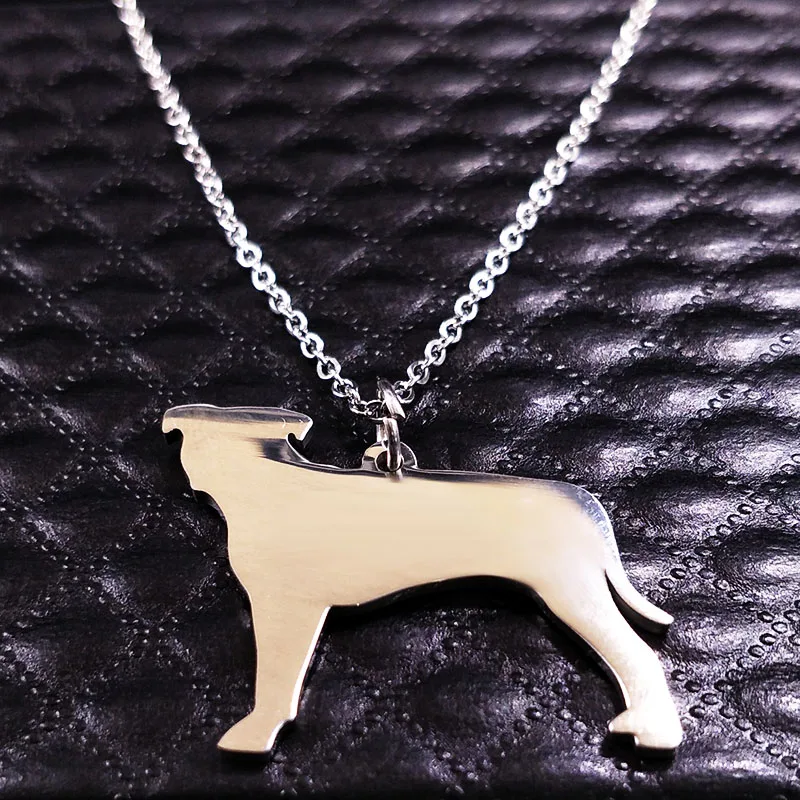 Ожерелья и кулоны для собак из нержавеющей стали с надписью Best Friend Dog Tag Chocker