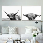 Черно-белые постеры Highland с изображением коровы, Современная ферма с изображением животных, крупного рогатого скота, фотография, Картина на холсте, домашнее настенное искусство, Декор