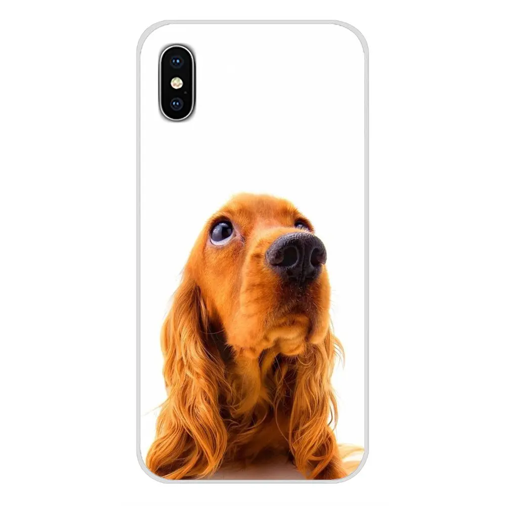 Чехлы и аксессуары для телефонов Xiaomi Redmi 4A S2 Note 3 3S 4 4X 5 Plus 6 7 6A Pro Pocophone F1 Irish Setter dog art