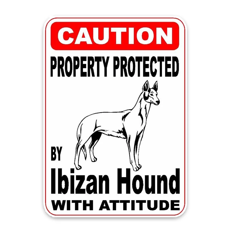 

YJZT 10*14.2CM Property Protected By Lbizan Hound Dog The Tail Of The Car Reflective Car Sticker C1-4763