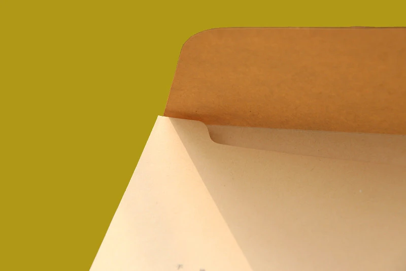 100pcs/lot 32.4x22.9cm kraft paper big Envelope For A4 document Greeting Card Cover Photo case party invitation card package | Дом и сад