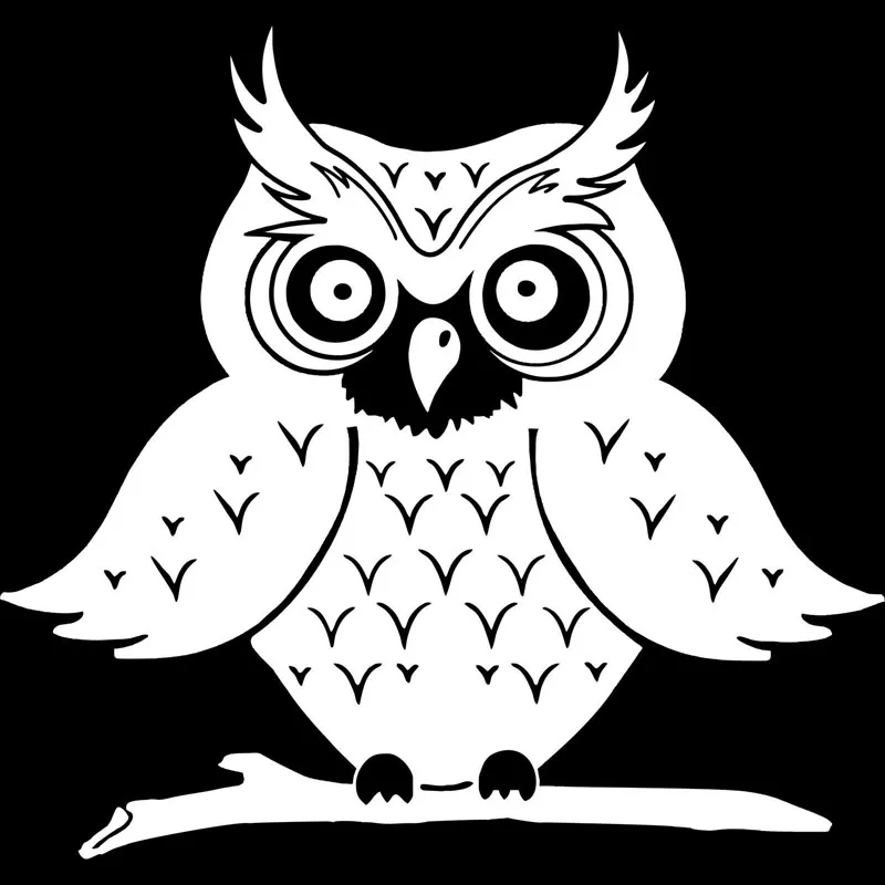 X см виниловые Стикеры для автомобиля с изображением большой Совы и бровей черные