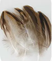 Перья! Шлейф! Верен! 100 шт./лот 5-10 см перо молотковой утки Barred Plumage естественного