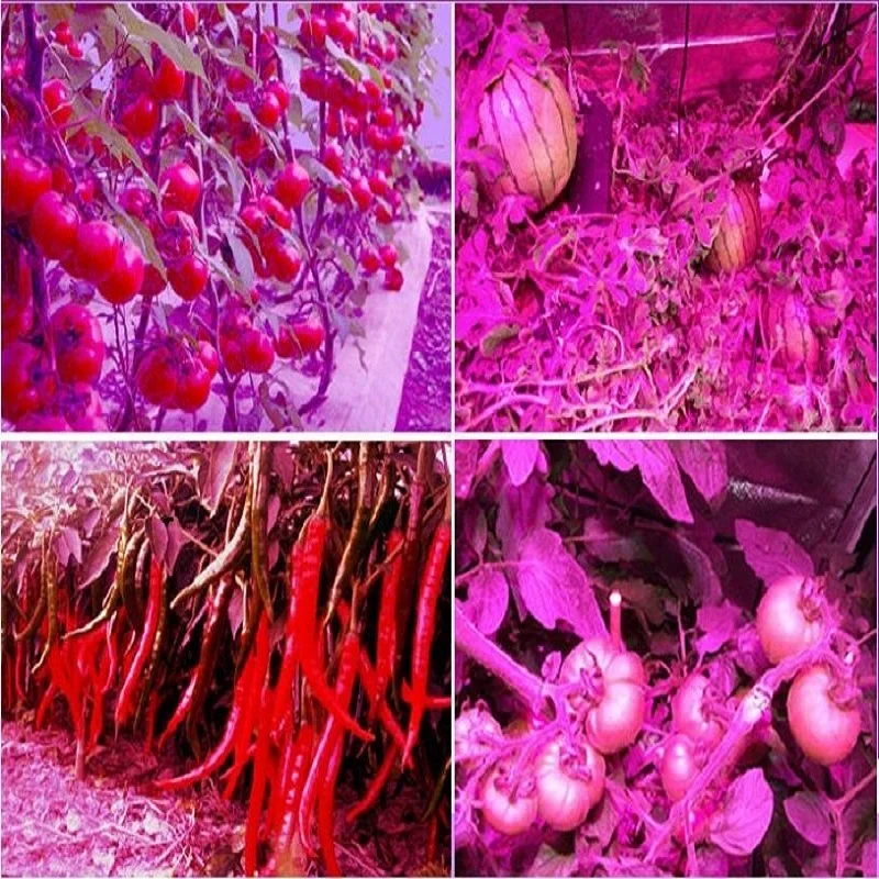 50 Вт DIY led grow светильник 380-840nm комплект чип драйвер радиатор вентилятор охлаждения