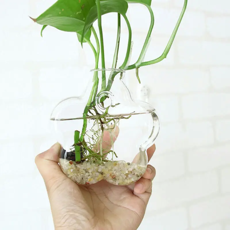 Настенный цветочный горшок стеклянная ваза-шар террариум аквариум домашний