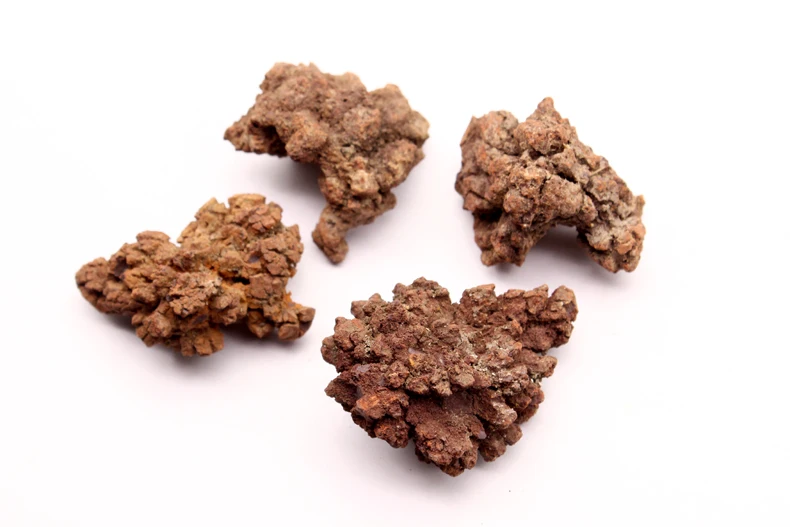 100 г натуральный динозавр dejecta fossil rough feces образец | Дом и сад