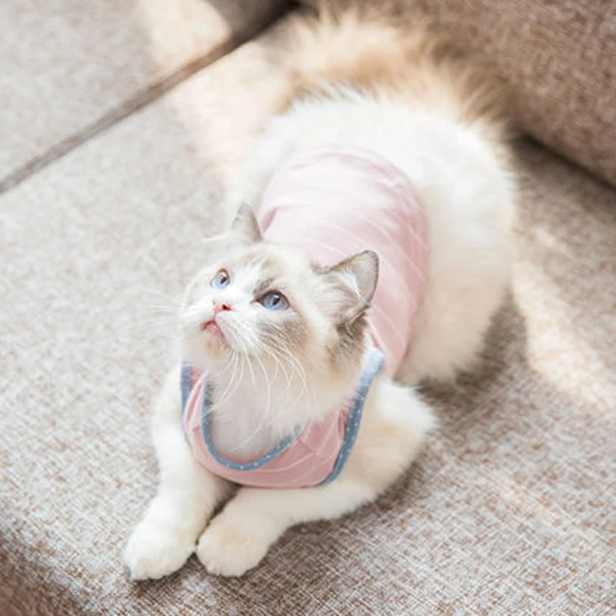 Костюм для котенка костюм кошки всех сезонов отдыха Ropa Para Gatos De Navidad одежда зимняя