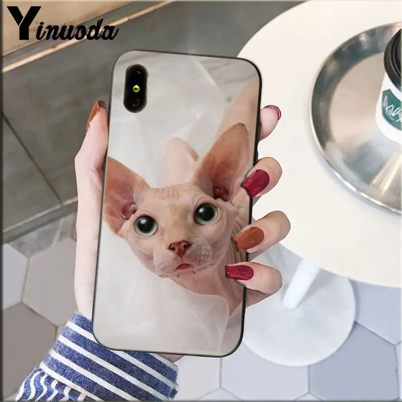 A8 Yinuoda тату Сфинкс Кот искусство клиент высокое качество чехол для телефона для iPhone 5 5Sx 6 7 7plus 8 8Plus X XS MAX XR - Цвет: A8