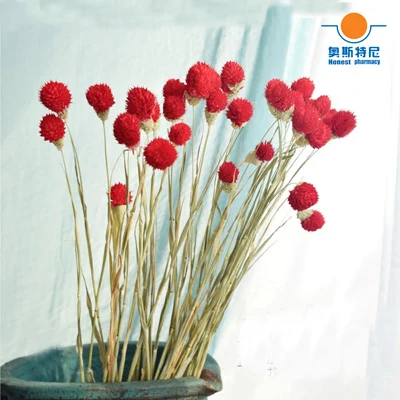 red color 20 шт. сушеные Цветочные букеты, естественным образом выцветшие Gomphrena globosa букеты и глобус амарант Цветочные булочки - Цвет: red color