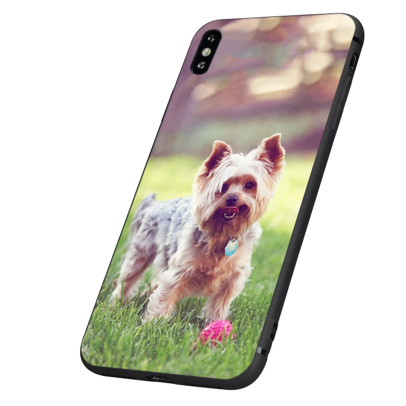 Черный чехол из ТПУ для iphone 5 6 6s 7 8 plus x 10 XR XS 11 pro MAX йоркширский терьер собака