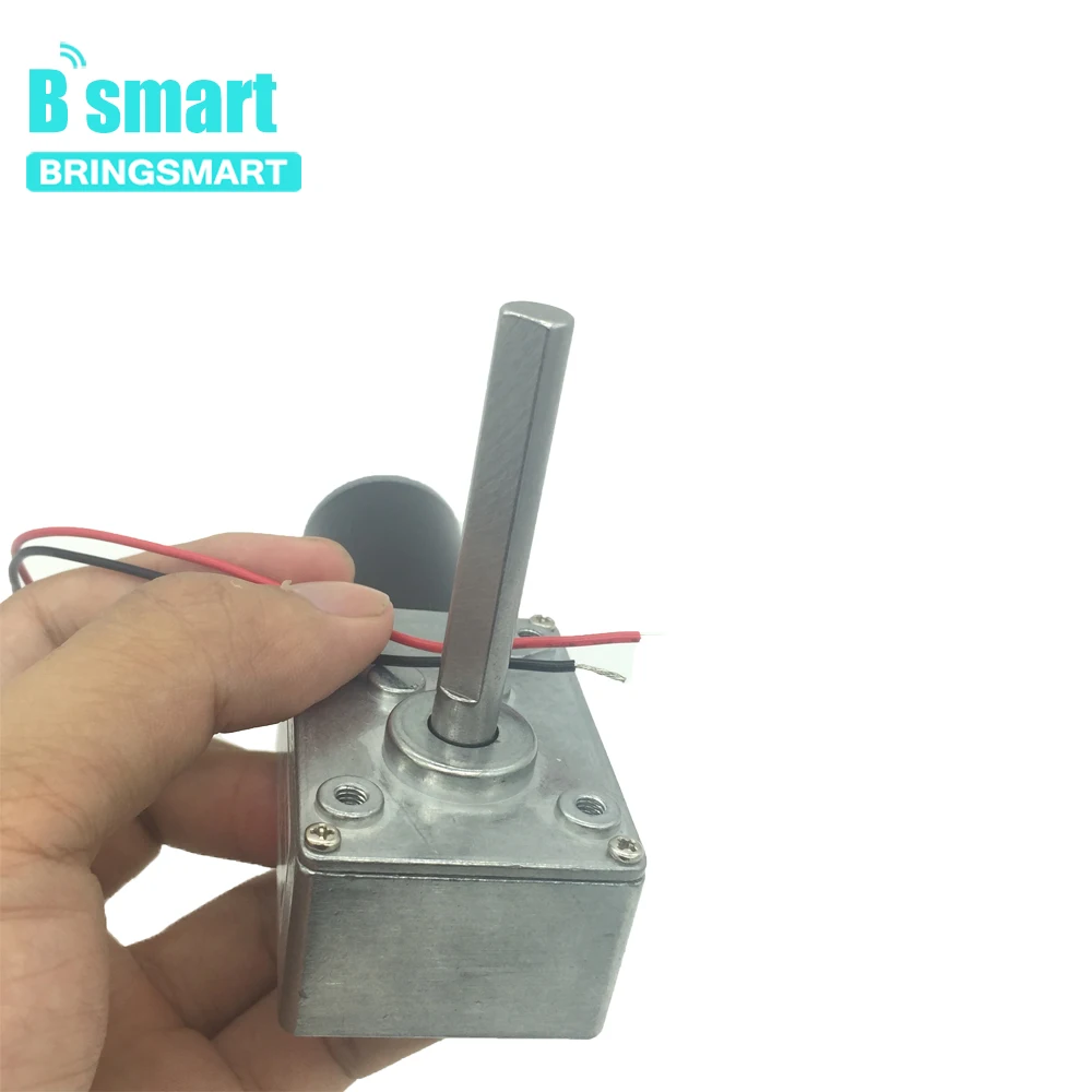 DC 24V PMDC Червячные редукторные двигатели с высоким крутящим моментом 12V Вольт двигатель постоянного тока обратный редукционный двигатель самоблокирующийся удлинитель 5840-31ZY