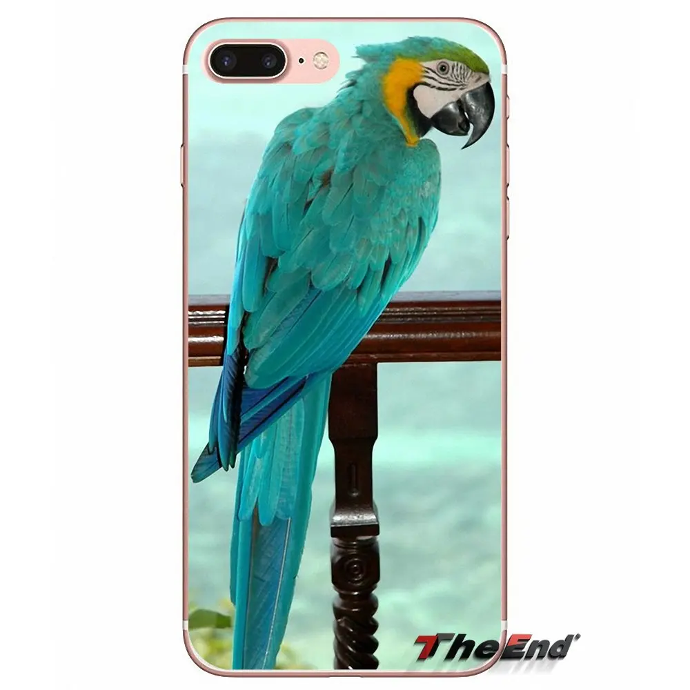 Прозрачный чехол из ТПУ с радужным попугаем для iPhone X 4 4S 5 5S 5C SE 6 6S 7 8 Plus Samsung Galaxy J1 J3