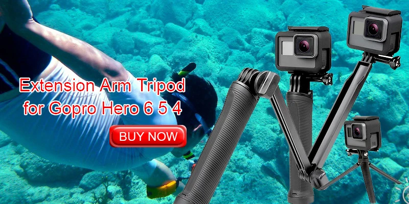 Портативный мини-бокс EVA сумка чехол для Xiaomi Yi 4K Lite GoPro Hero 6 5 4 защитный H9 чехол для экшн-камеры аксессуары для Yi Go Pro