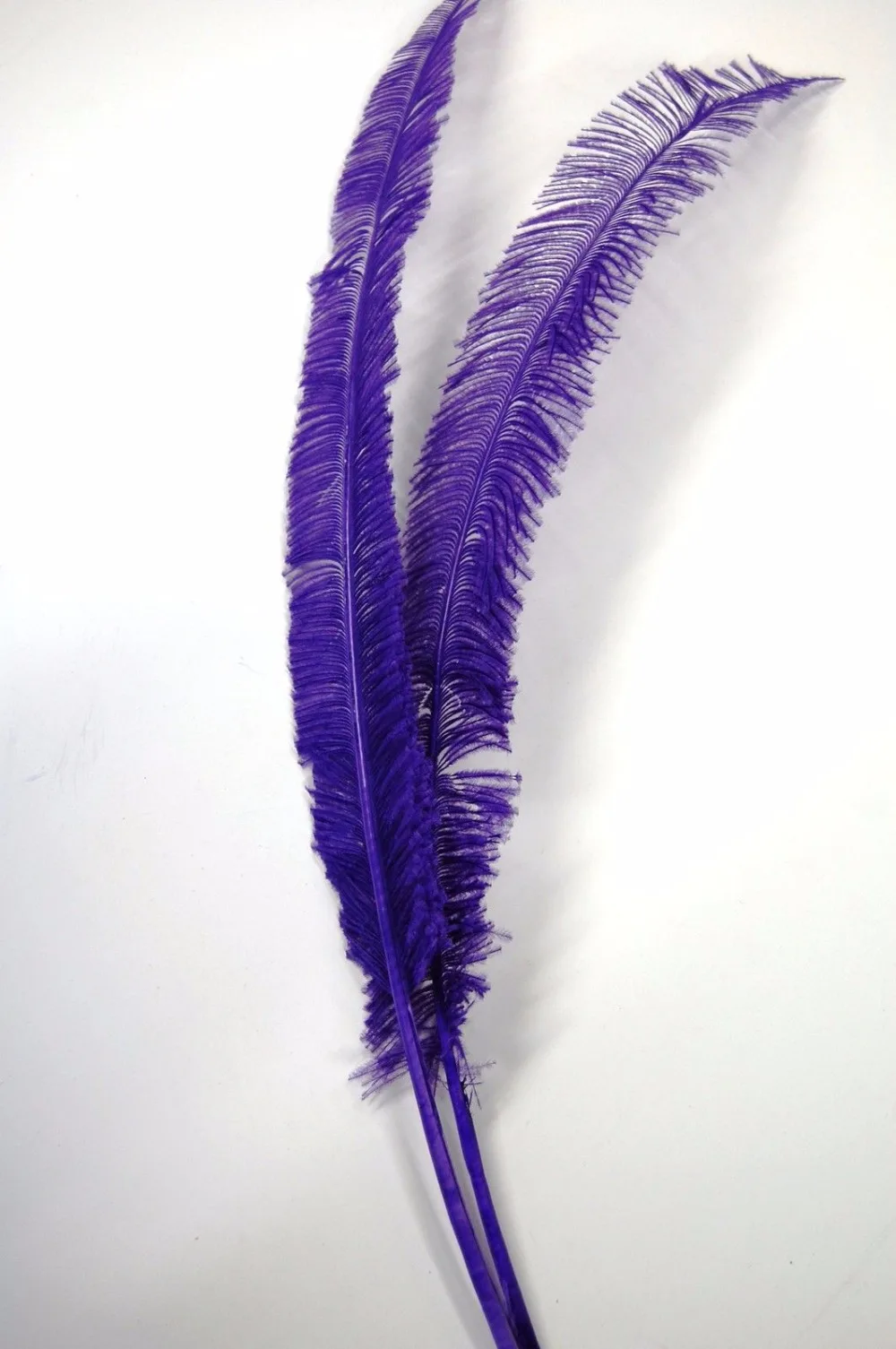 

Free shipping / 50 - PCS white color natural ostrich Nandu feather DIY feather decoration/45-70cm 18-28inch
