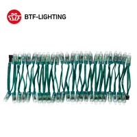 50pcs 100pcs ws2811 dc 5v 12v 12mm led module black green rwb wire string christmas light addressable ip68 waterproof
