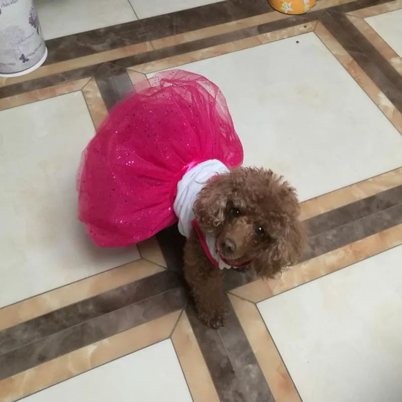 Модное платье-пачка для собак платье принцессы Милая Кружевная юбка с принтом в