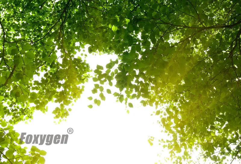 

professional design pop stretch ceiling film false ceiling price for living room