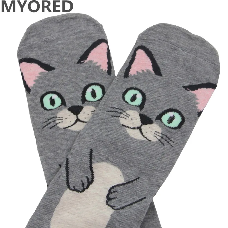 MYORED, 5 пар, женские носки, милый забавный кот, стиль, мода осень-зима, забавные короткие носки до лодыжки, носки для девочек, женская повседневная одежда