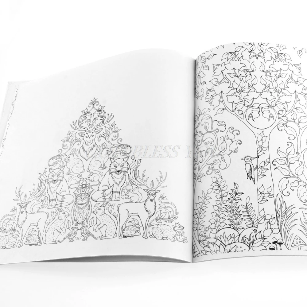 

English Adult Secret Garden mystery Garden Treasure Hunt Coloring Painting Book Coloring Book Dropshipping