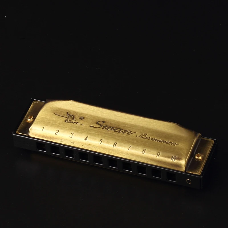 Хроматический ключ C Harmonica 10 отверстий 40 тонов рот органного серебра с изысканным чехлом