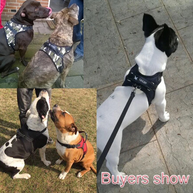 Бесплатная доставка Товары для домашних животных больших собак поводок k9