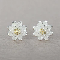 top selling fashion one pair earring accessories 925 sterling silver beautiful luxury jewelery gift for women