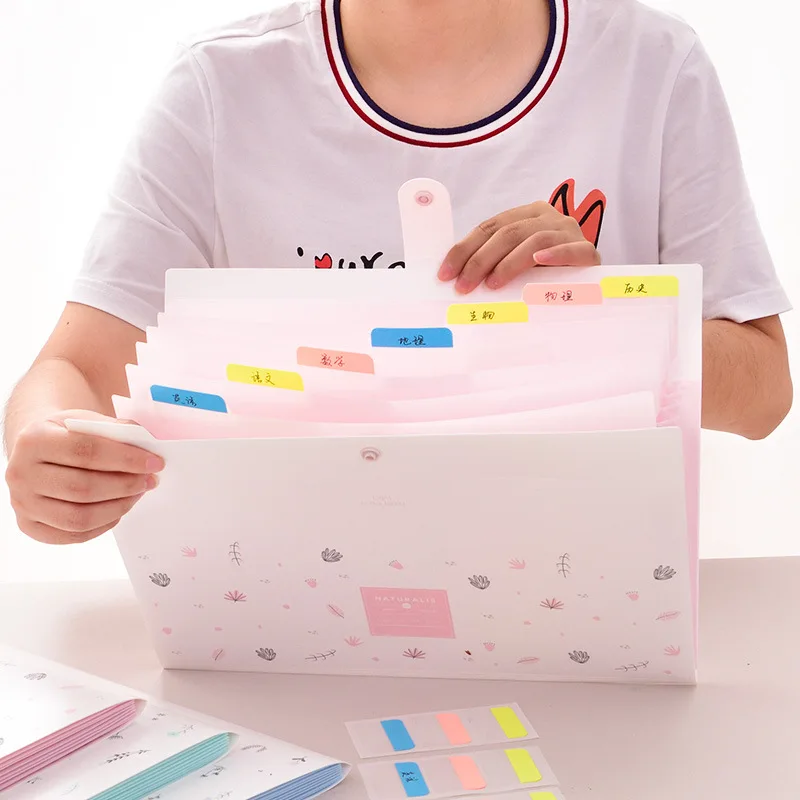 

DELI File Folder Expanding Wallet Kawaii Pupil Test Paper Storage and Organizer Bag Office Document Bag Display Book File Folder