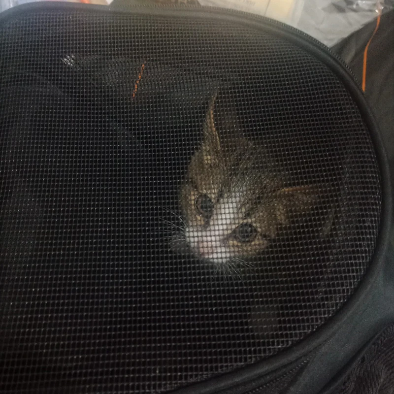 С дышащей сеткой Cat Carrier Рюкзак для кошек отдыха на открытом воздухе кошка