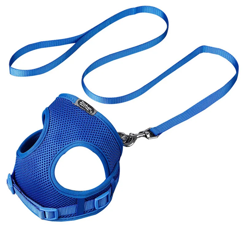 Blue Flat Ribbon Pawstrip, жилет для маленьких собак, нейлоновый поводок для собак, мягкий дышащий поводок для кошек, набор поводков из сетки для щенков, поводок для собак, Petshop - Цвет: Blue Flat Ribbon
