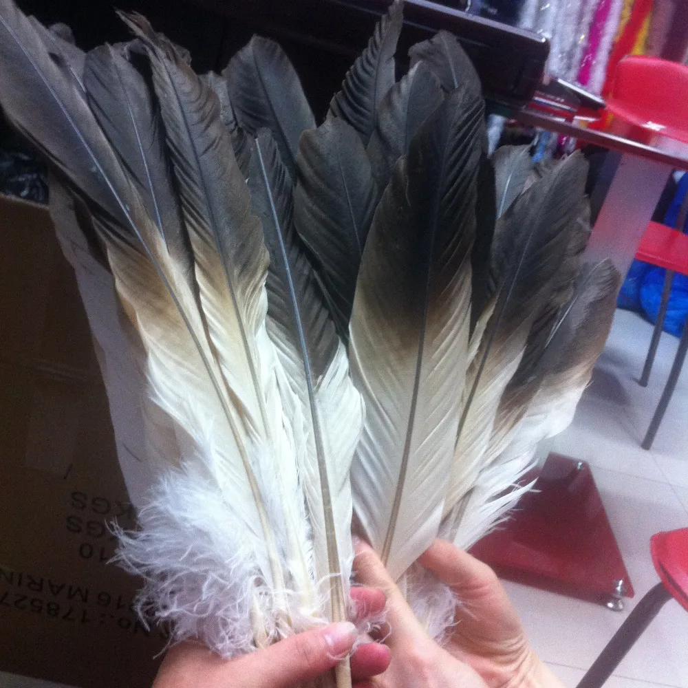 Идеальные наборы натуральных перьев золотого орла 12 20 дюймов/30 50 см|eagle feathers|golden