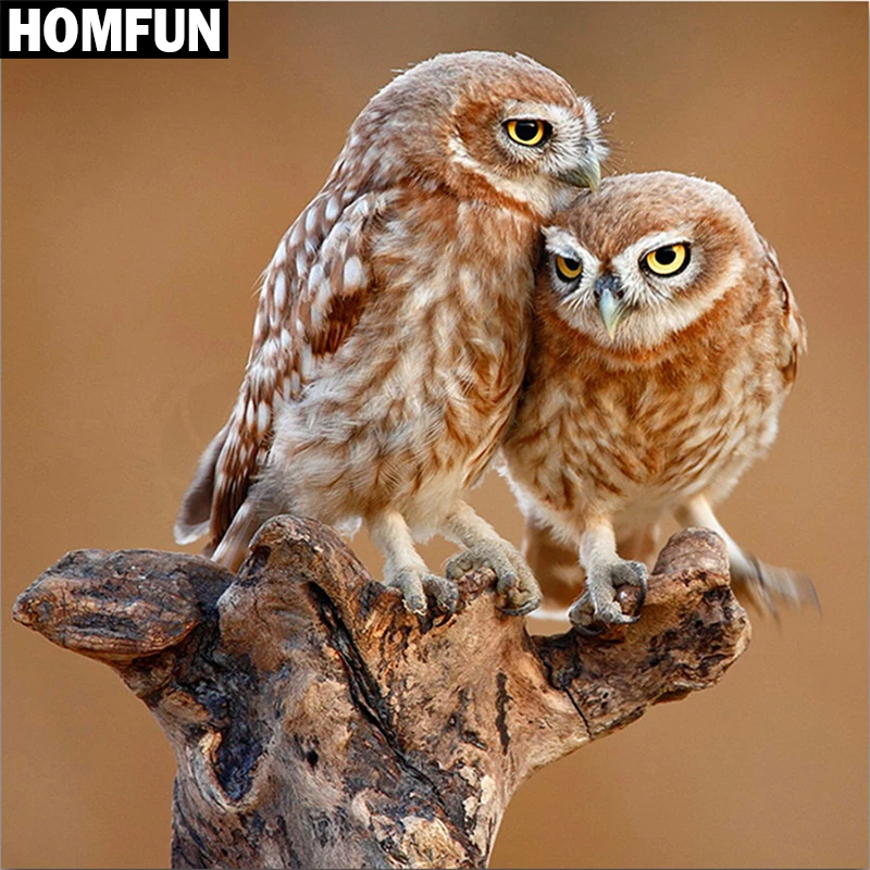 Алмазная живопись HOMFUN A06166 алмазная вышивка Сова с полными квадратными/круглыми