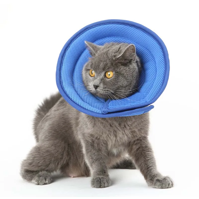 Дышащий крутой собачий елизабетанский ошейник для маленьких собак мягкий щенка