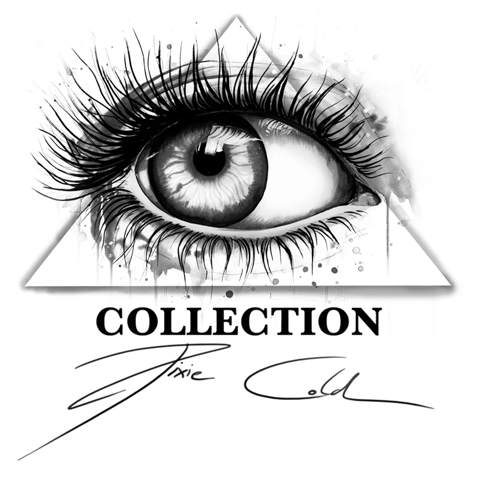 

Modern HD printed 1 panel canvas painting lion galaxy by Pixie Cold Art wall pictures for living room posters and prints artwork