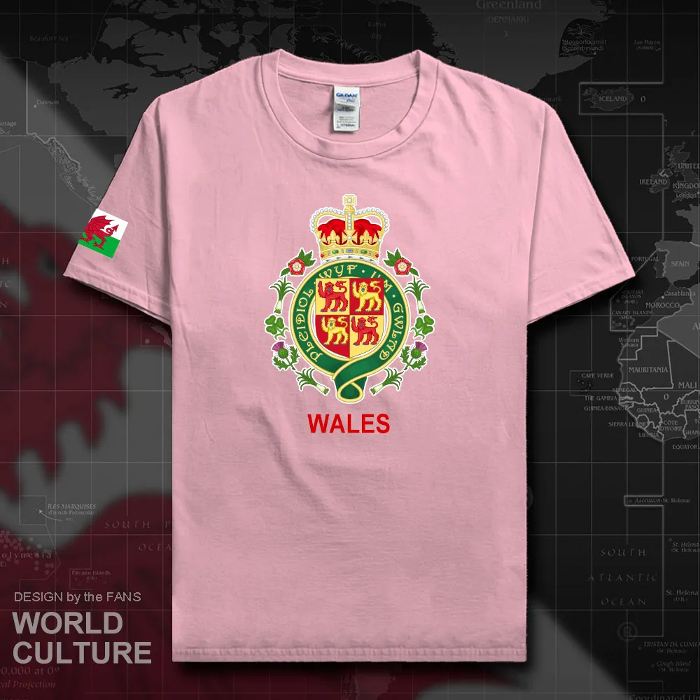 Футболка для мужчин Wales Cymru Повседневная хлопковая с принтом в виде звезд фитнеса