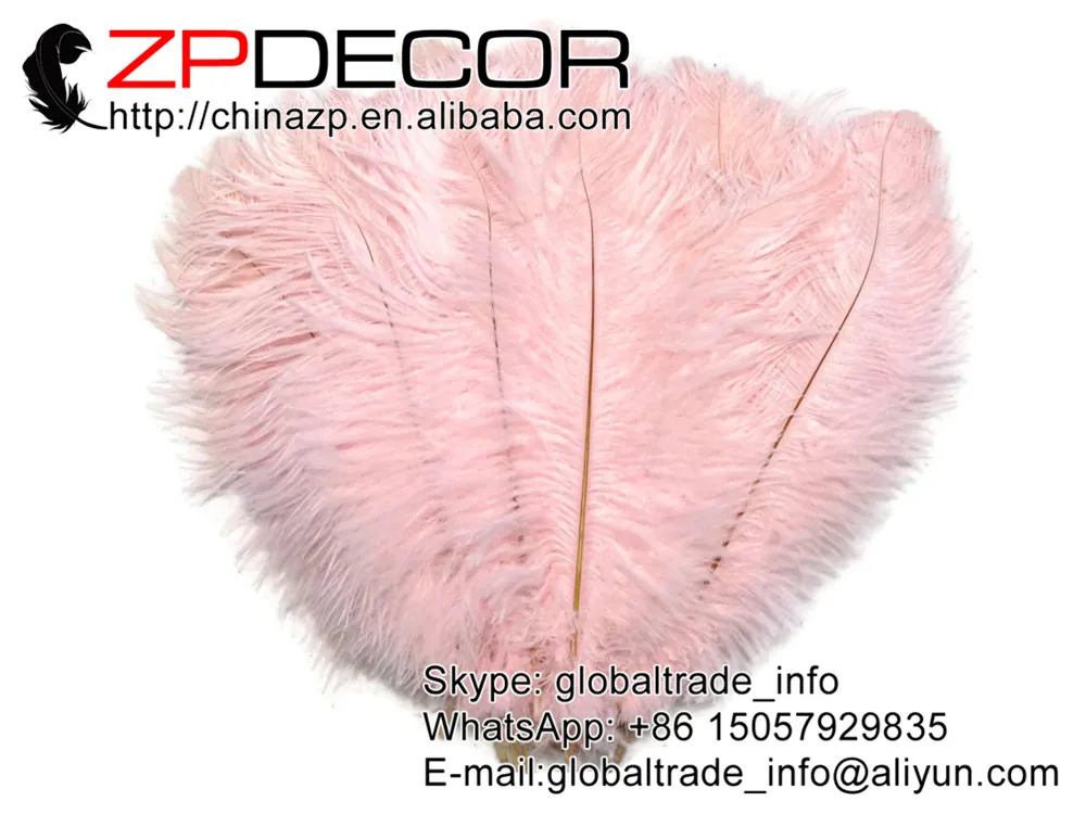 ZPDECOR 100 шт./лот 25 30 см (10 12 дюймов) ручной выбор премиум качества Красивые светло