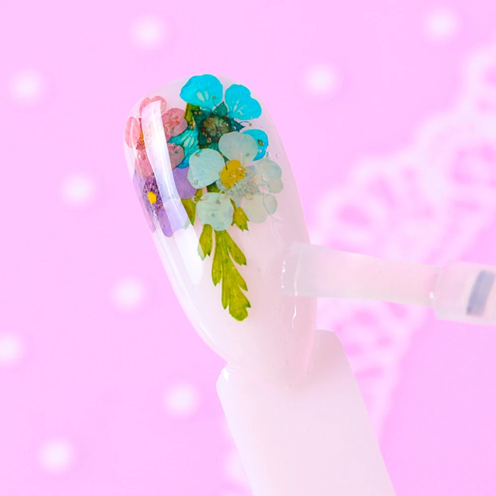 12 цветов дизайн ногтей природа сухие цветы набор гель лак наконечник 3D DIY Цветочные кусочки наклейка Pro Маникюр Педикюр Декор новейший комплект SAFL/F