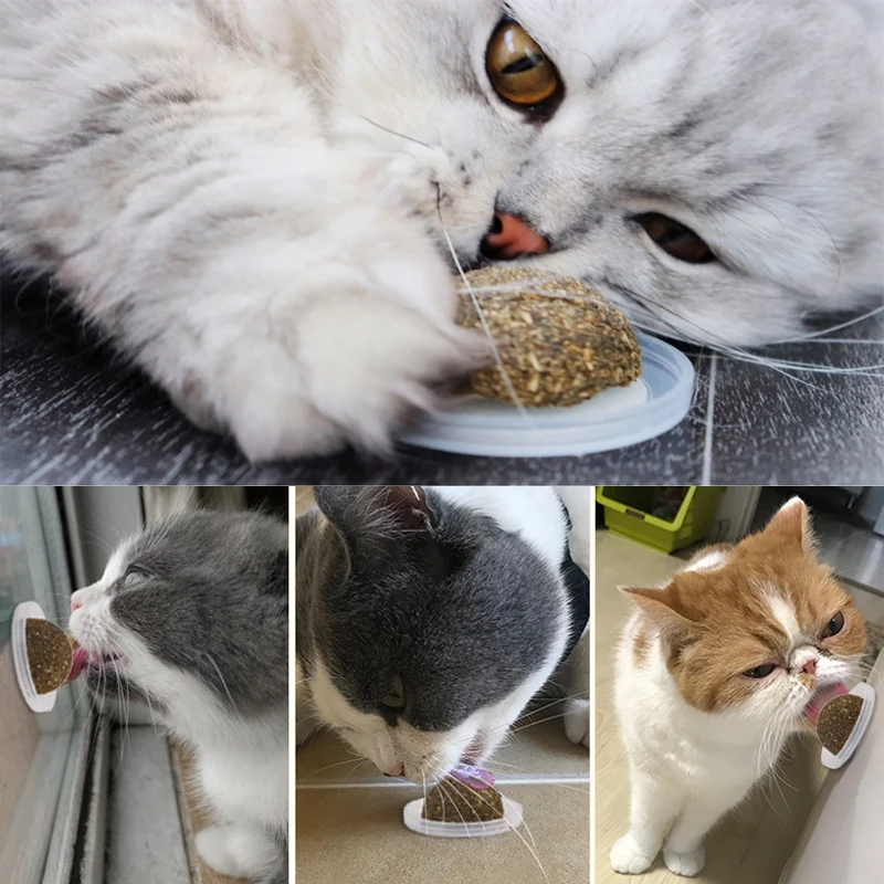 Натуральная кошачья мята игрушки для кошек сумасшедшие здоровые котенка