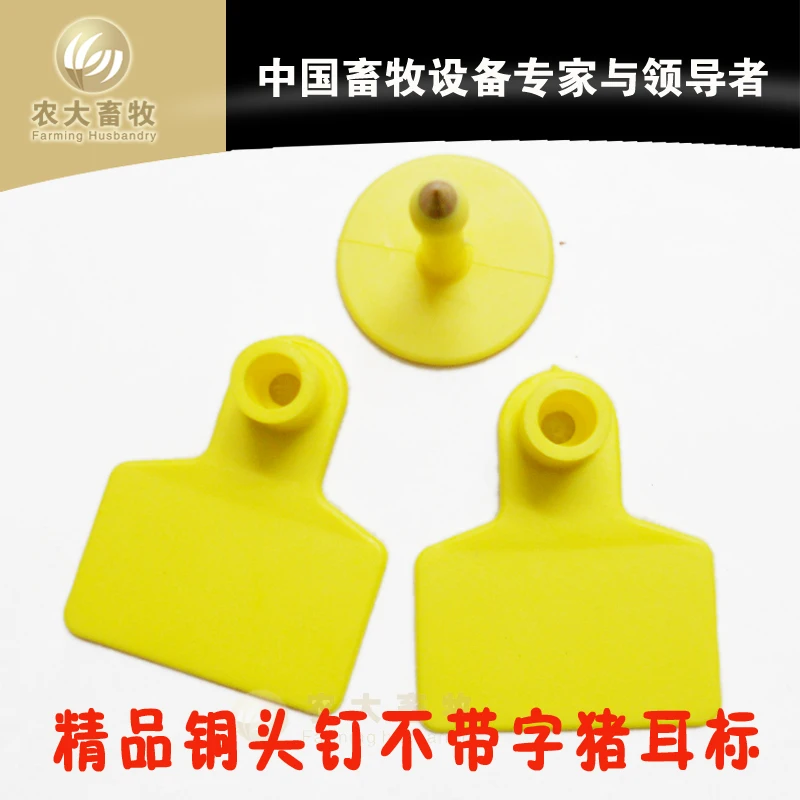 С никаких признаков из обычный слова без слово свинья свиное ухо