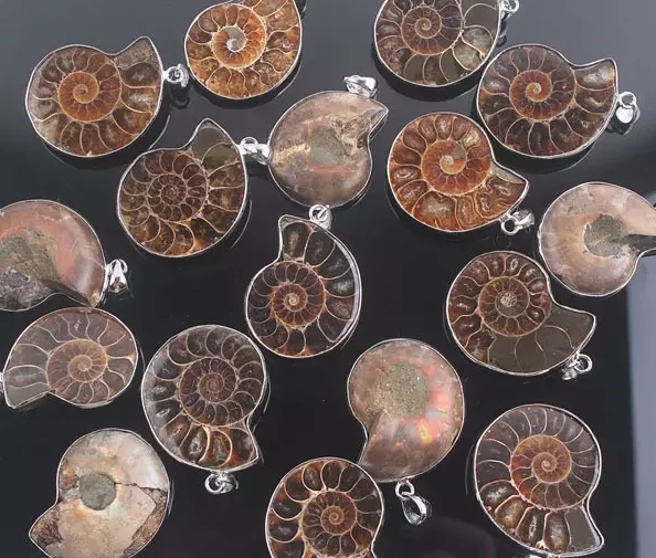 Подвеска из натурального аммонита 5 шт. 30-40 мм | Украшения и аксессуары