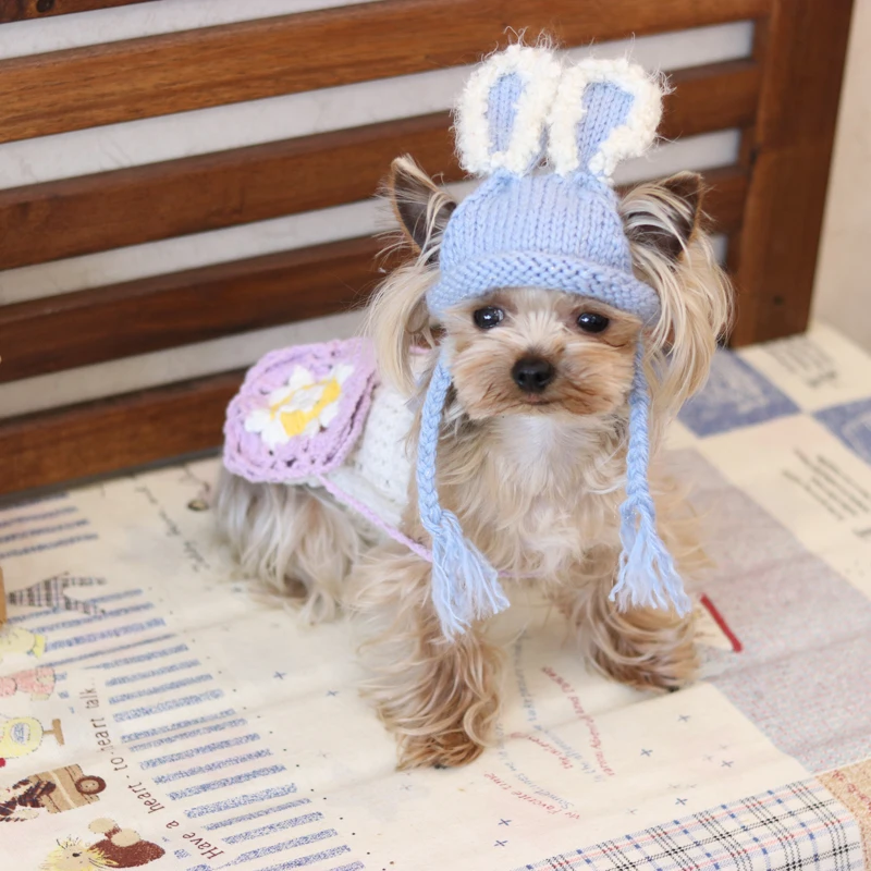 Ручной работы кепки синий пушистый вязаный Kawaii домашних животных магазин Теплый Прекрасный Шапки для собак для маленьких домашних котов Мальтийский