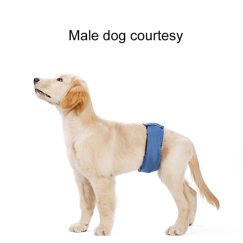 Polyester Pet Physiological Trousers Washable Urine Prevent Defecation Anywhere Smooth Nonsticky Hair Sanitary Pants | Дом и сад