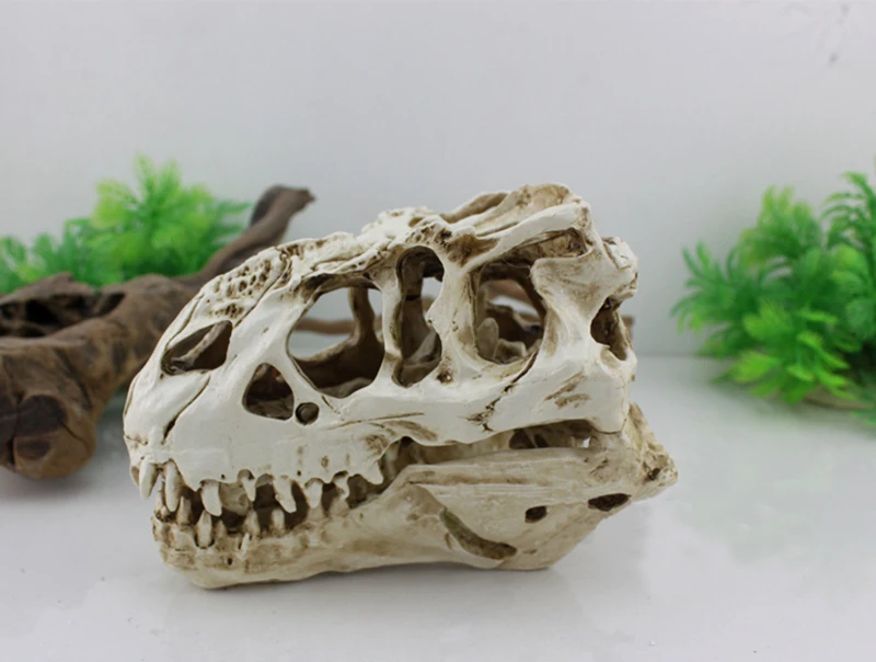 Аквариумный аквариум ormanent crawler box украшение из смолы tyrannosaurus rex skull 16*9*12 см | Дом и