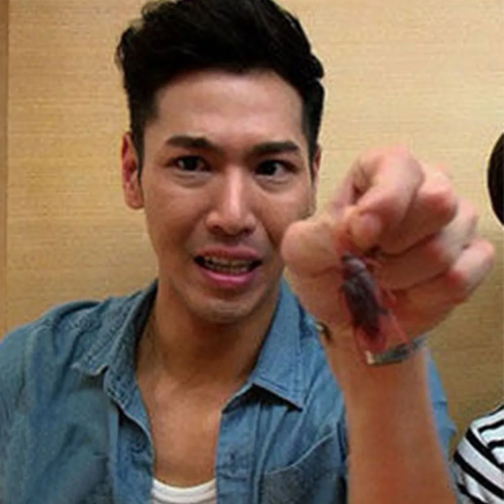 10 шт. Забавный трюк для розыгрыша специальная реалистичная модель искусственных