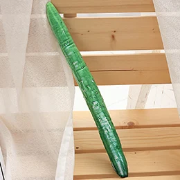 105cm cucumber Имитация плюша овощи Тыква колокол перец чили Горькая тыква Полотенце Тыква огурец мягкие подушки в виде продуктов дивана подушки реквизит - Color: 105cm cucumber
