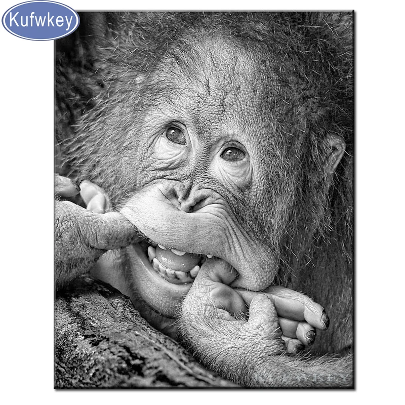 Черный и белый цвета stickers'Apes &quotкартины для алмазной вышивки с стразы камни в