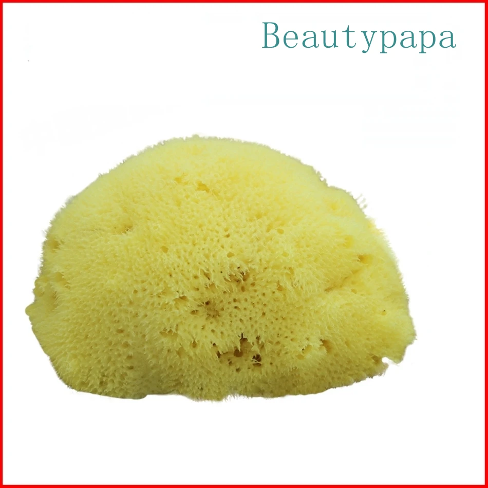 Beauty papa натуральная губка для удаления макияжа beauty Make up Remover Greek FINA SILK Sea Sponge 1,5 ''-2,0''-разные формы