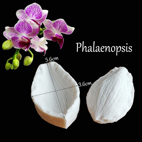 Phalaenopsis 29 большой пион роза тюльпан Орхидея цветок лепесток Veiner силиконовые формы украшения торта инструменты, Gumpaste Sugarcraft помадка плесень C337 - Цвет: Phalaenopsis